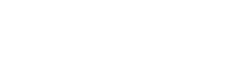 Spacehuhn Wiki Logo